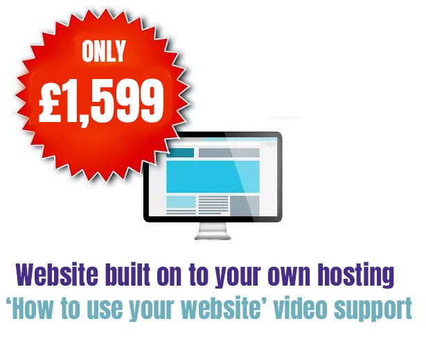 500 product web design own hosting