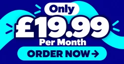 Order 10 product ecommerce website design for £1999 per month